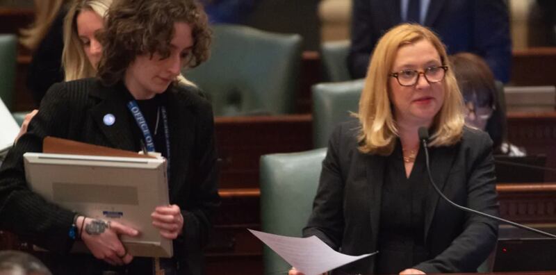 State Rep. Anna Moeller, D-Elgin, presents her Medicaid legislation on the House floor on Saturday, May 31, 2025.