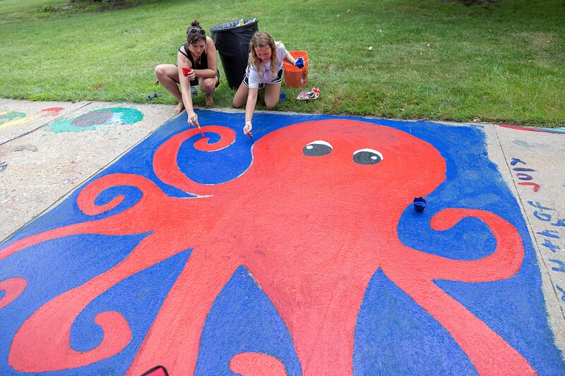 Emily Seier (left) and Lyndie Kastner, 12, paint up a giant octopus Thursday, July 4, 2024 on the lawn of the Old Lee County Courthouse. Discover Dixon’s Brush and Bloom event saw dozens of budding artists decorate the sidewalk around the building.