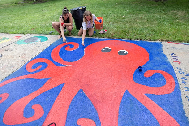 Emily Seier (left) and Lyndie Kastner, 12, paint up a giant octopus Thursday, July 4, 2024 on the lawn of the Old Lee County Courthouse. Discover Dixon’s Brush and Bloom event saw dozens of budding artists decorate the sidewalk around the building.