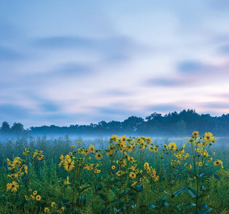 The Lake County Forest Preserves has launched its Every Acre Strong campaign to help fund the organization's long-term needs.