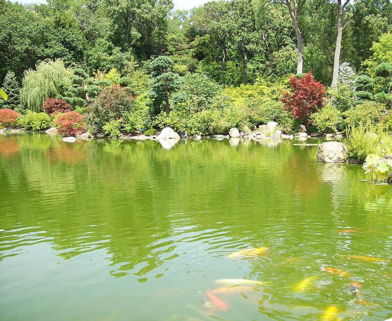 Visit world-class museums, state parks, a Japanese garden & more fun in Rockford this summer