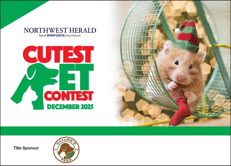 Northwest Herald Cutest Pet Contest