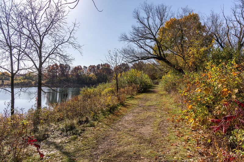 State funding will support accessibility improvements at Lake Carina Forest Preserve in Gurnee, including upgrades to parking, trails and amenities to improve public access while protecting natural features.