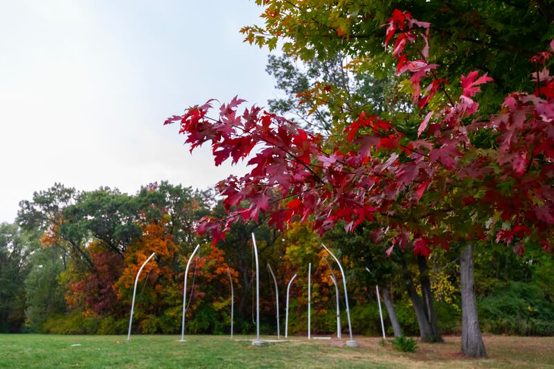 Fall colors are plentiful at Morris High School on the evening of Oct. 15, 2025.