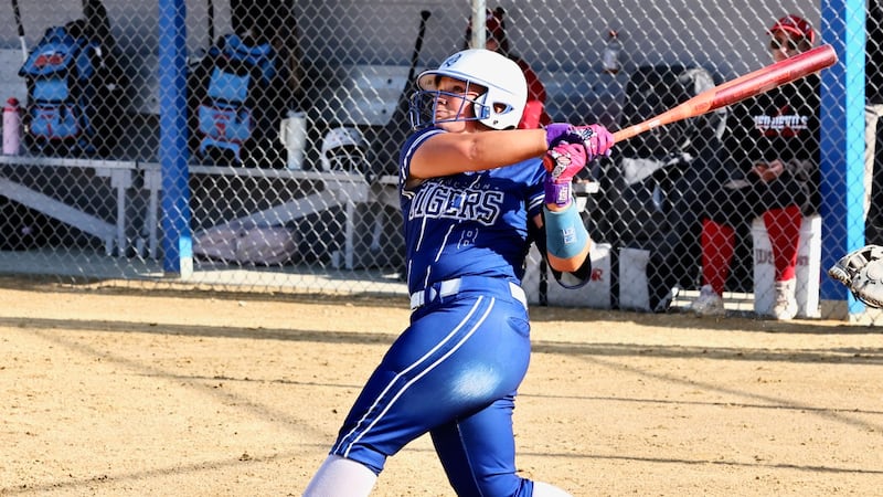 A look at Princeton High School softball hitting records