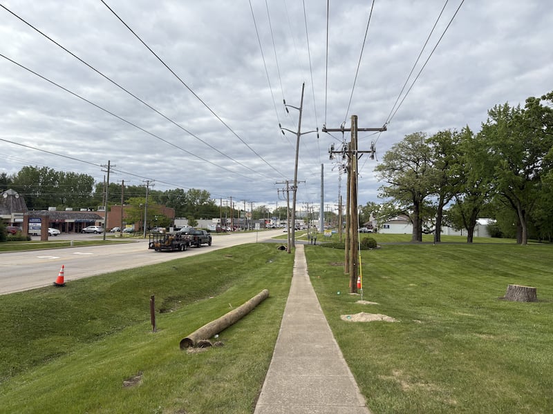 A log and a cone pictured along Route 47 in Woodstock May 22, 2025.