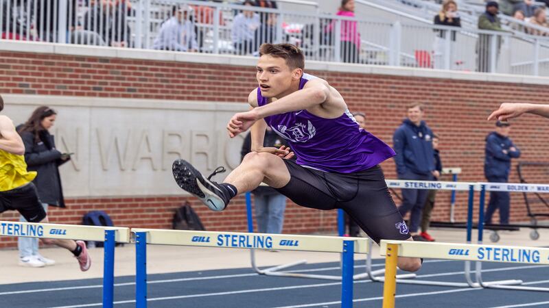 Dixon, Sterling, Rock Falls advance athletes to state at Rochelle Sectional