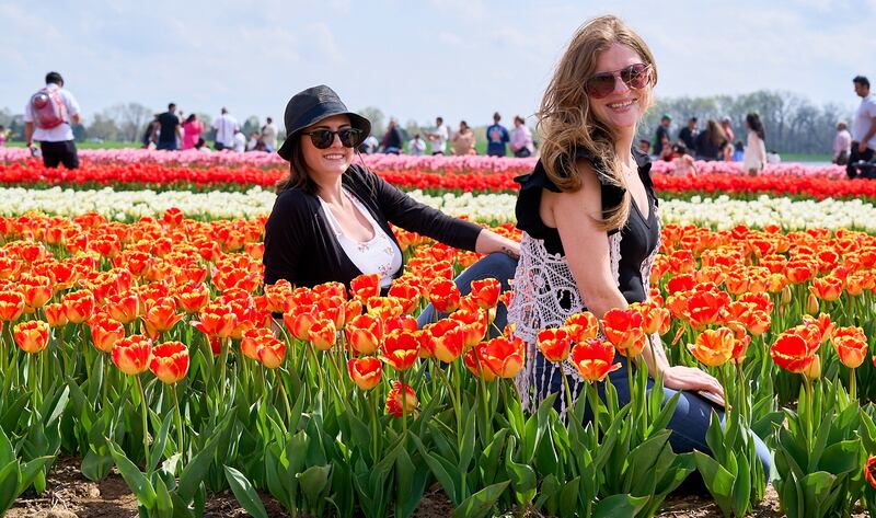 Surrounded by a sea of red and gold tulips, these friends smile for a photo during a previous Richardson Farm Tulip Festival. This year's fest opens Saturday, April 26, at the farm, 909 English Prairie Road, Spring Grove.