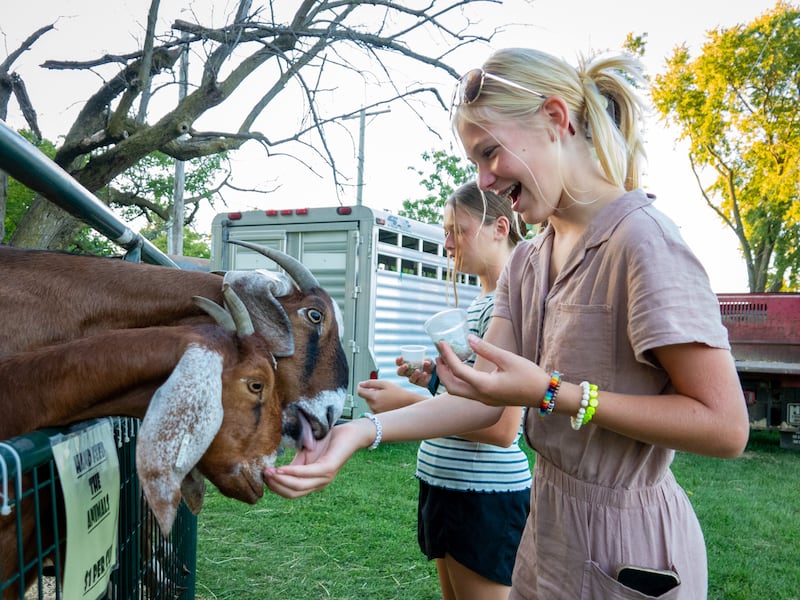 Peyton Woods and Micky Rowland feed animals on Saturday, August 31, 2024 at the Tri County Fair in Mendota.
