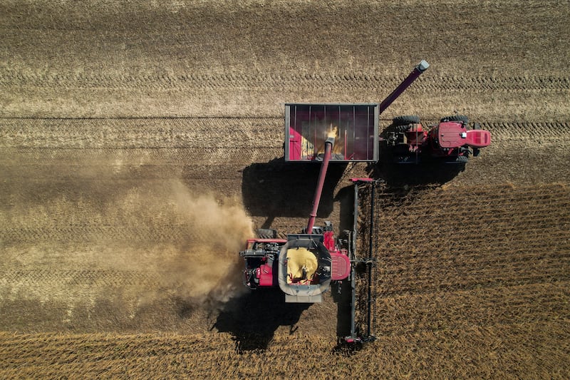 FILE - A combine, bottom, unloads grain into a wagon, top, while harvesting soybeans, Oct. 10, 2023, at a farm near Allerton, Ill.