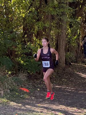 Herald-News Girls Cross Country Runner of the Year: Plainfield North’s Marlie Czarniewski