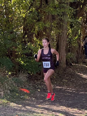 Herald-News Girls Cross Country Runner of the Year: Plainfield North’s Marlie Czarniewski