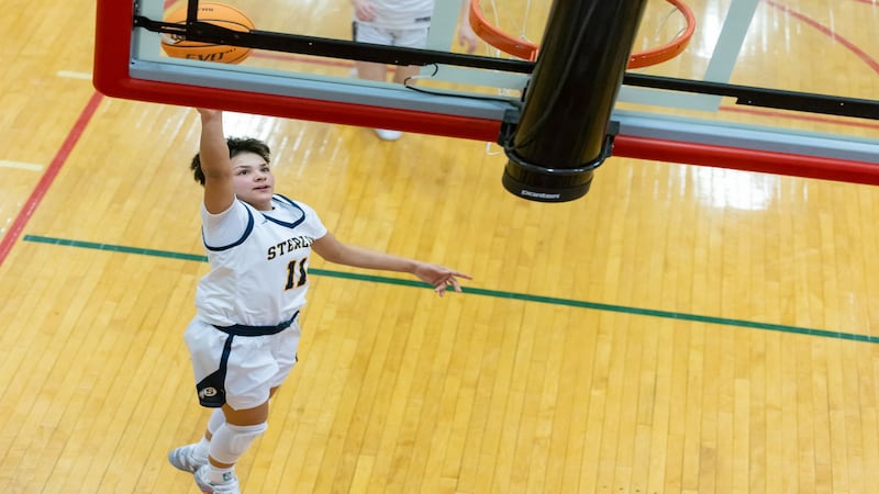 Sterling, Dixon, Polo trio named to Illinois Media All-State girls basketball teams