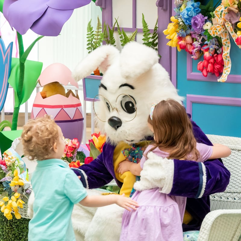 Hawthorn, a super-regional shopping center in Vernon Hills, invites children and their families to meet and take keepsake photos with the Easter Bunny in his spring garden on the Lower Level in Macy’s Court.