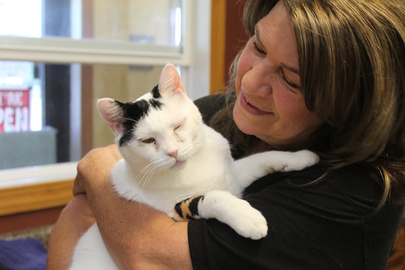 Purrfect Cat Rescue owner Deb Parquette holds Rascal, one of the 40 cats rescued from a hoarding home.