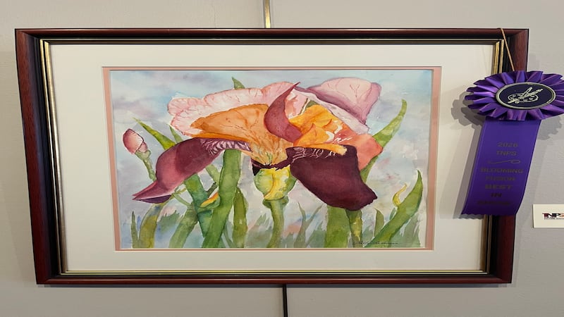 Blooming Fusion 2026 in Dixon celebrates floral art, regional talent