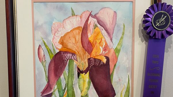 Blooming Fusion 2026 in Dixon celebrates floral art, regional talent