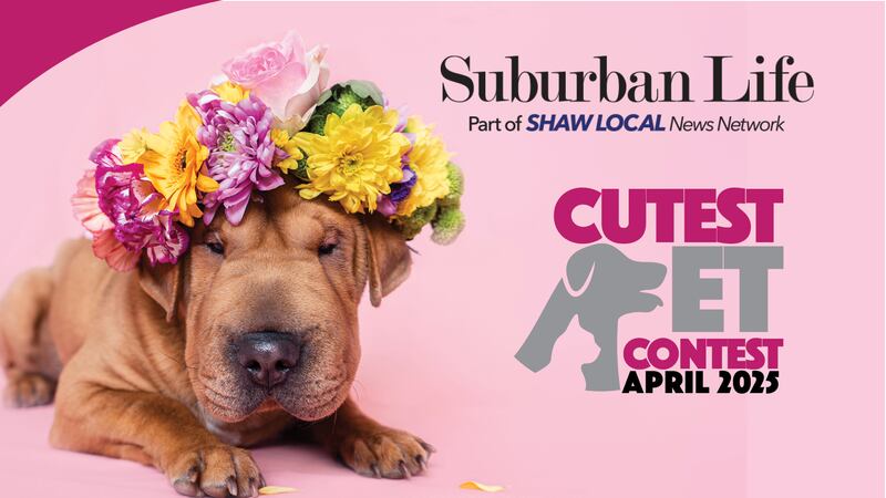 Suburban Life's April 2025 Cutest Pet