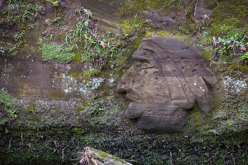 Rick Bartlett discovered the Indian Head carving hidden under decades of moss in the summer of 2024.