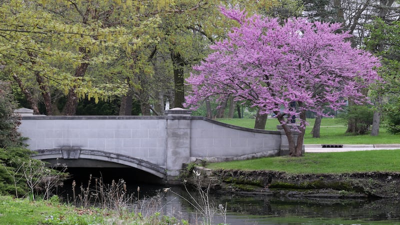 DeKalb Township to plant 250 trees in honor of the nation’s 250th anniversary