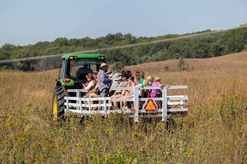 A group of visitors head out to check out the bison Saturday, Sept. 21, 2024, at the Nachusa Grasslands.