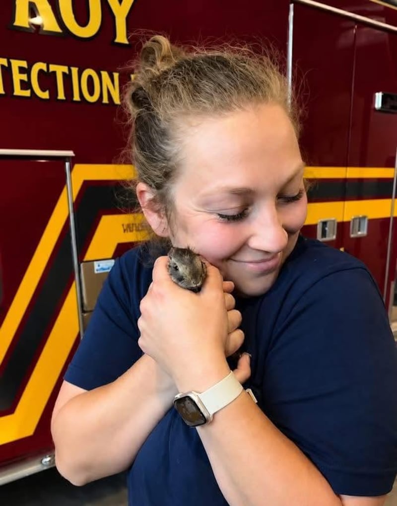 A first responder from the Troy Fire Protection District snuggles a baby bunny paramedics found in their ambulance bay on Wednesday, June 10, 2026.