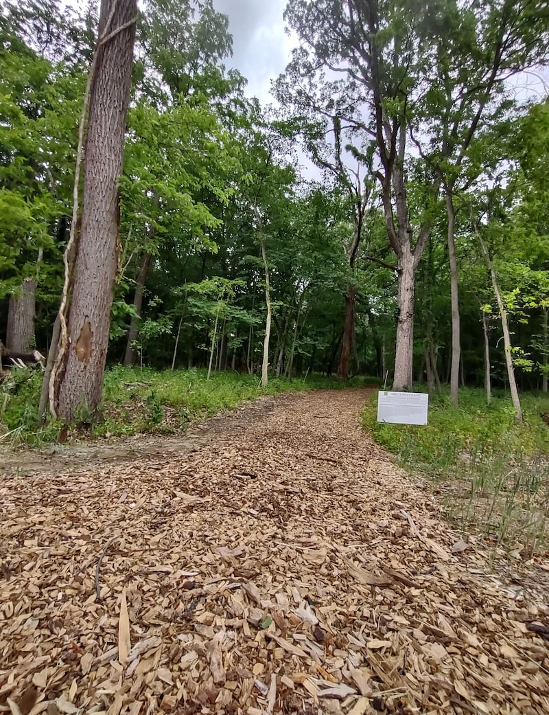More than a mile of trails weave through the trees at Nell's Woodland in Ottawa. Bird species inspired the names of the paths, which include Cardinal Trail, Hummingbird Trail, Robin Trail and Eagle Trail.