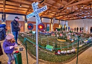 Juniper Junction model train on display at The Morton Arboretum Feb. 14-22