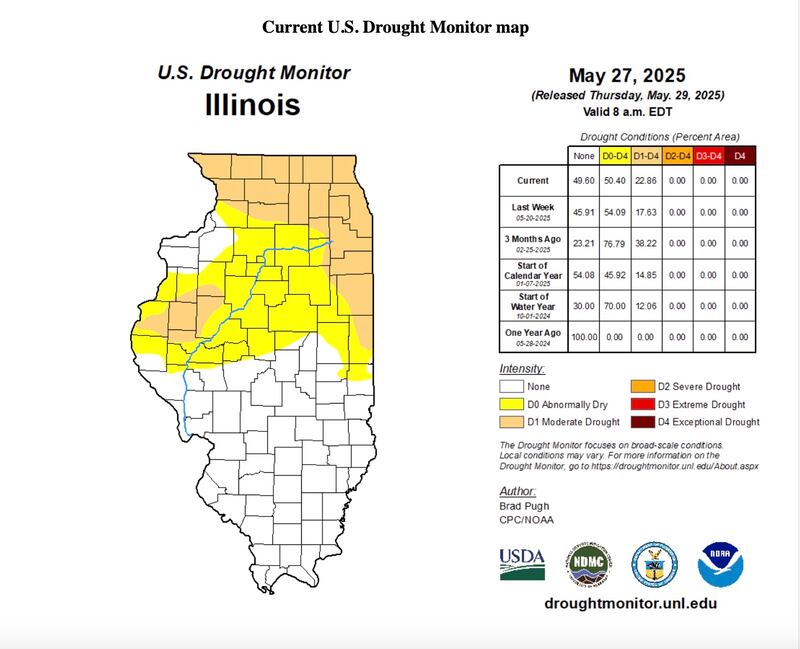 Lower than average precipitation this spring and particularly in May has created dry conditions across northern Illinois, according to both the National Weather Service and Illinois State Climatologist.