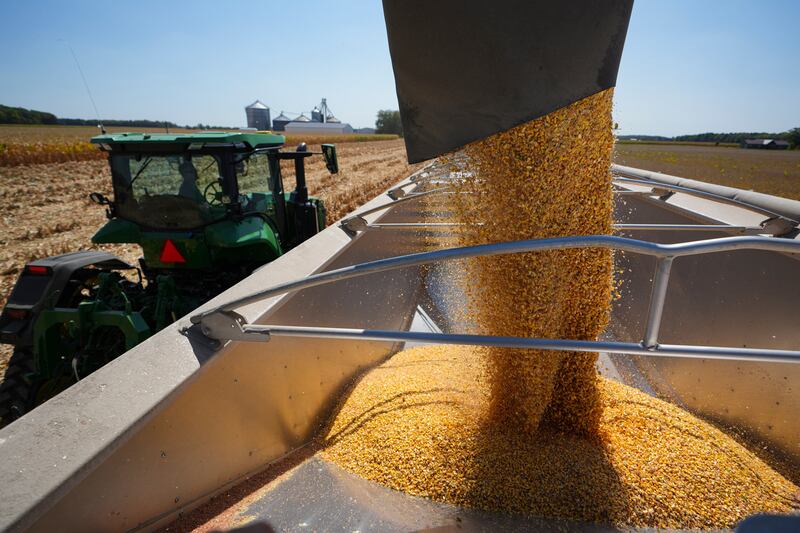 Corn is loaded onto a truck as harvest continues Sept. 11, 2025, on the Warpup Farms in Warren, Indiana.