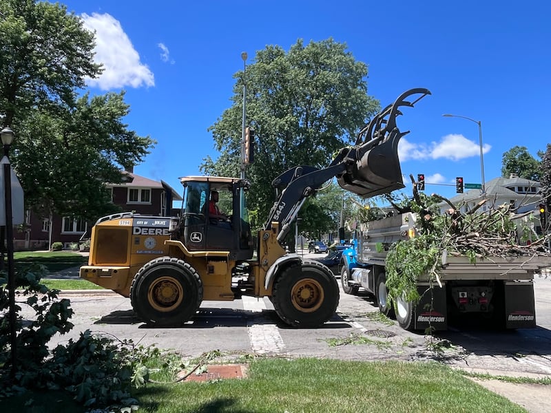 City crews in Joliet work to pile up and dispose of tree debris on Friday, June 12, 2026, on Raynor Avenue following storms that hit the city between June 10, 2026 and June 11, 2026.