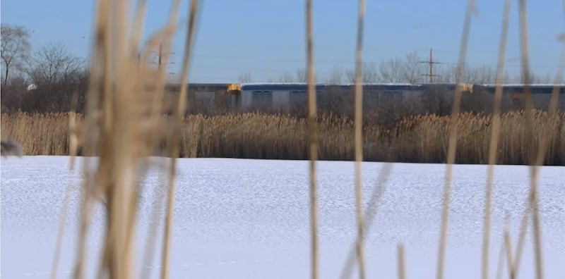 The Big Marsh Park restoration project and other nearby projects in the Calumet region sit on areas formerly used for landfills and for US Steel Works facilities. The Big Marsh Park has been open since 2016 with a bike park and a trail.