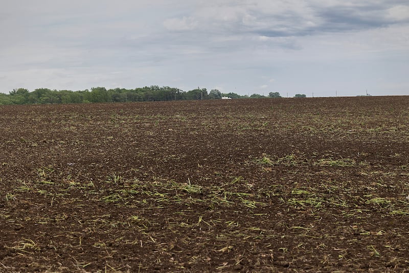 Property behind Dixon’s Walmart is being prepared for development Tuesday, June 3, 2025.