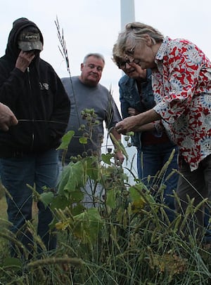 U of I Extension offering Master Naturalist training in Oregon