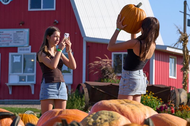 Friends capture their perfect-pumpkin-find moment during a fall 2025 visit to the Richardson Adventure Farm.