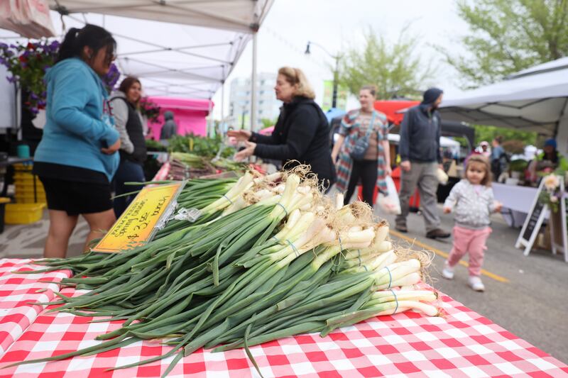 Fresh produce awaits marketgoers at the first Kankakee Farmers' Market of the season on Saturday, May 3, 2025.