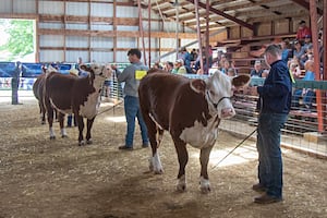 Lee County 4-H’s New Family Orientation set for March 28