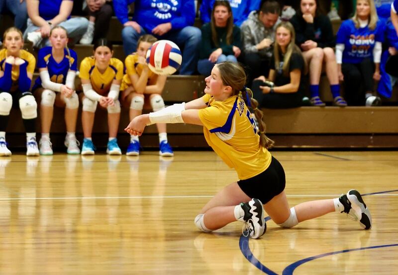 Princeton Logan's Collyns Etheridge makes a pass in Monday's Class 3A 8th grade sectional finals at Pannebaker Gym. The Lions fell in three sets to Morris Saratoga.