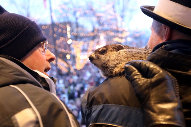 Stephen Tobolowsky who played "Ned Ryerson" in the movie "Groundhog Day" that was filmed in Woodstock, talks with Woodstock Willie as Willie is held by handler Mark Szafran to find out if Willie saw his shadow on Monday, Feb. 2, 2026, during the annual Groundhog Day Prognostication in the Woodstock Square.