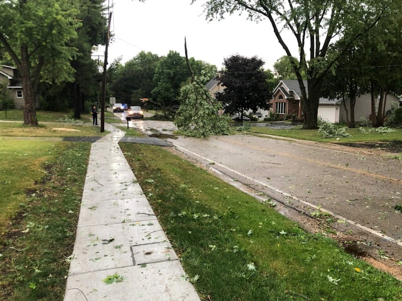 A thunderstorm Saturday, Aug. 16, 2025, downed trees in McHenry County.