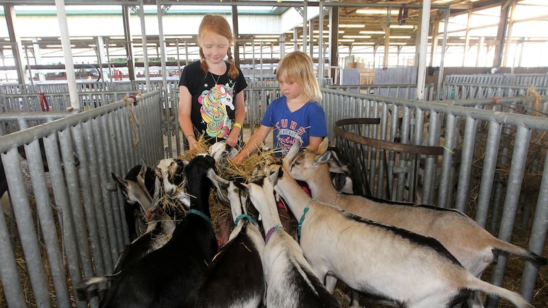 Celebrate Lake County 4‑H at the 2026 Fair