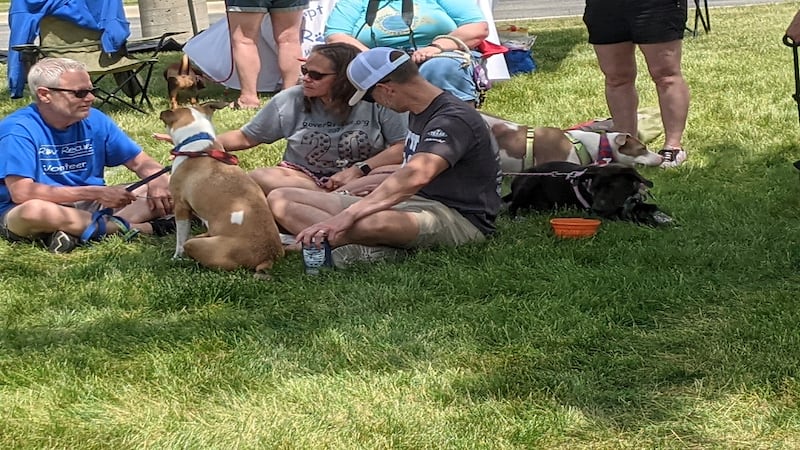 Photos: Oswego Police Department's second annual K9s ‘N Cops adoption event