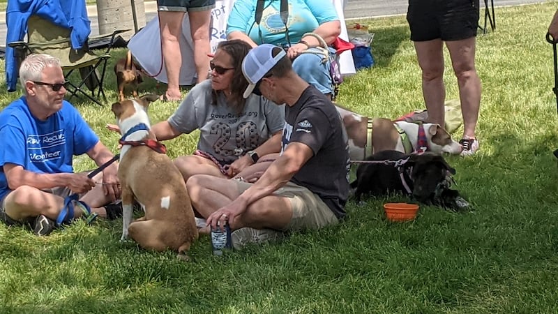 Photos: Oswego Police Department's second annual K9s ‘N Cops adoption event