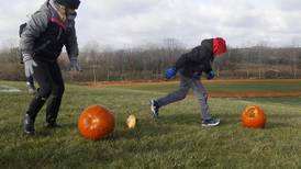 5 Things to Do: Celebrate Day of Dead in Harvard, smash pumpkins in Cary