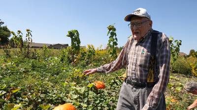 Retired farmer’s pumpkins bolster senior garden club