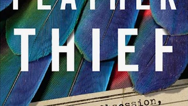 Grab a bookmark with the Geneva Public Library this December