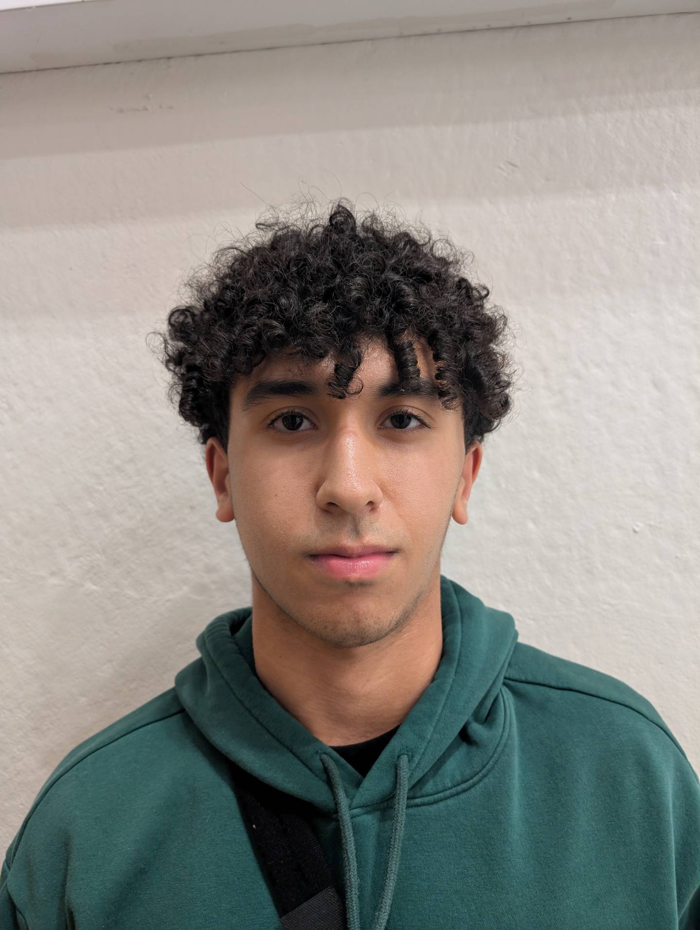 Adam Anwar,
McHenry