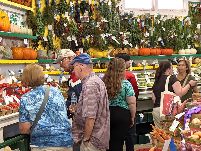 People look at the homegrown produce and plants on display in the Sandwich Fair's Horticulture/Agricultural Building during the fair's opening day Sept. 4, 2024.