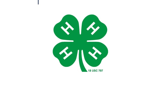 Ogle County 4-H invites youths to Day of Dabbling on Feb. 28