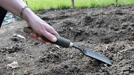 4-H Little Roots Garden Program invites kids to learn about gardening